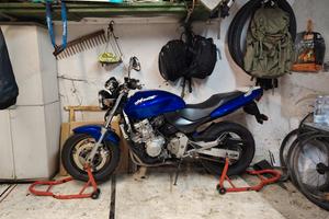 hornet asi restaurata