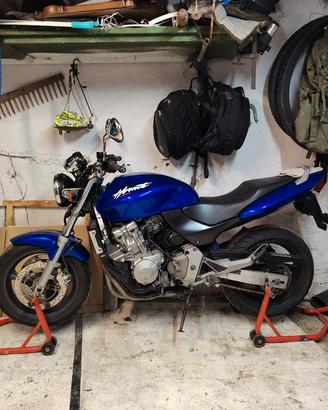hornet asi restaurata