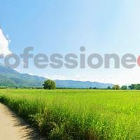 Terreno Agricolo Aquino [Cod. rif 3292542VCG]