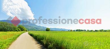 Terreno Agricolo Aquino [Cod. rif 3292542VCG]