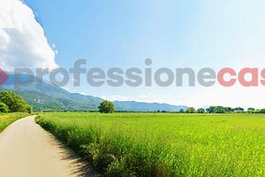 Terreno Agricolo Aquino [Cod. rif 3292542VCG]