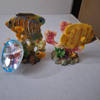 decorazione  per acquari nuovi 