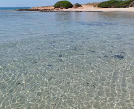 Dal 7 settembre villino sul mare alto Salento