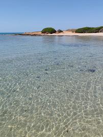 Dal 7 settembre villino sul mare alto Salento