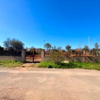 Terreno recintato 1.100 mq