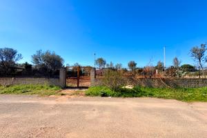 Terreno recintato 1.100 mq