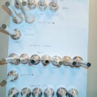 Bocchini per Tromba,Flicorno Soprano,Cornetta