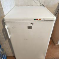 Congelatore REX Electrolux RV14 - Classe A