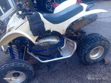 Quad wt motors