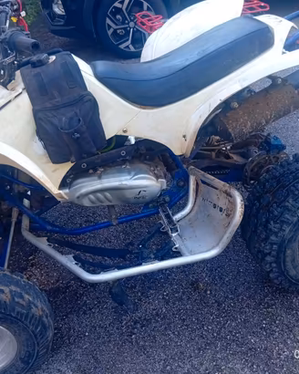 Quad wt motors