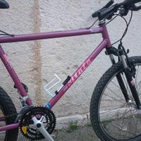 bici MTB Atala ammotizza 