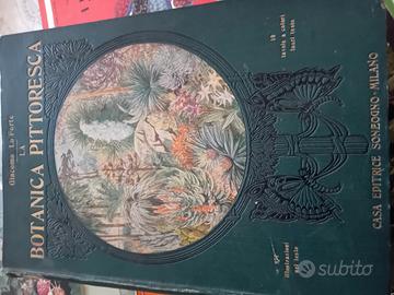 botanica pittoresca