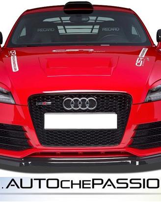 Performance Flaps Audi TT 8J RS 09