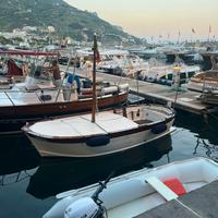 Gozzo Aprea Junior 4.60 con motore Vetus 40cv