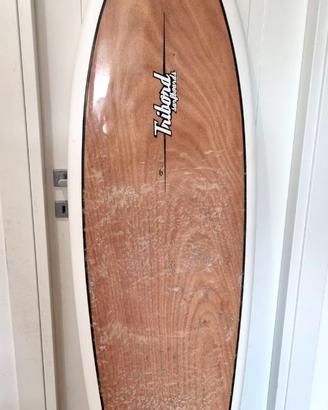 Tavola surf 6'