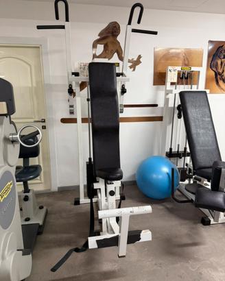 Technogym Vertical Traction