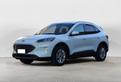 Ford Kuga 2.0 EcoBlue 120 CV aut. 2WD Titanium X