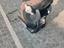 Immagine 2