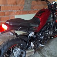 per amatori !! leoncino benelli 500 