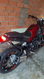 per amatori !! leoncino benelli 500 