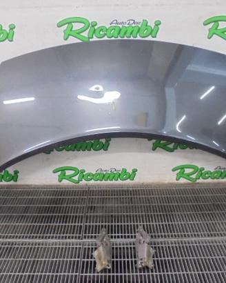 COFANO PER RENAULT SCENIC II JM ANNO 2004