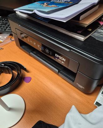Stampante Epson XP-2100