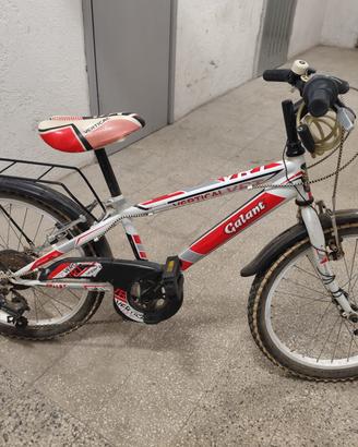 bicicletta bambino ruota 20