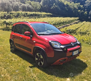 panda cross hybrid