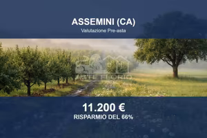 Immobile in asta di 33190 m² a Assemini