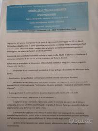 doppio scivolo gonfiabile per ludoteche bambini 