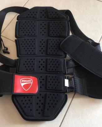 tartaruga riparaschiena DUCATI