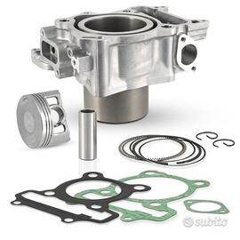 Gruppo termico EVOK Honda Sh 300 07 - 19