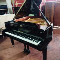 august forster 1//4 di coda 