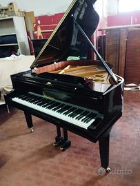 august forster 1//4 di coda 