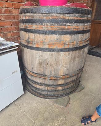 botte grande in legno.