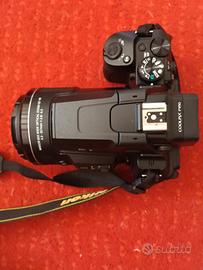 Nikon p950