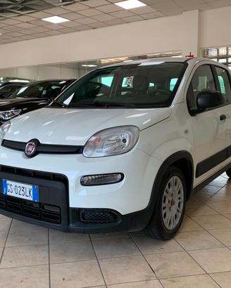 Fiat Panda 1.0 FireFly S Hybrid *IVA DEDUCIBILE*