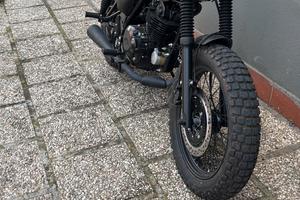 Mutt Fat Sabbath 250 - 2025