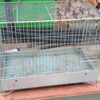 gabbia cova x batteria diamantini , canarini 