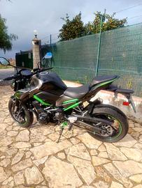 Kawasaki z 900 anno 2023