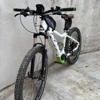 E-MTB KTM