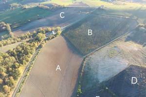 Podere Vigneto Timorasso Derthona