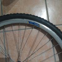 ruota MTB 26