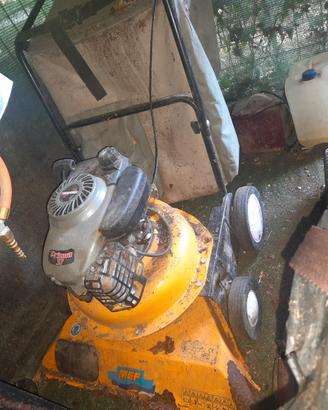 Aspirafoglie a motore 