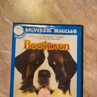 Beethoven film - Universal Miniclub - Dvd video