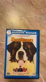 Beethoven film - Universal Miniclub - Dvd video