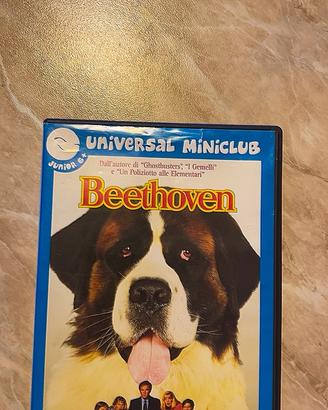 Beethoven film - Universal Miniclub - Dvd video
