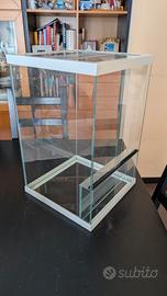 Teca in vetro