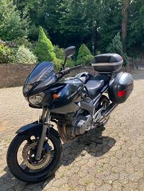 Yamaha TDM 900 - 2006