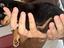 Immagine 6